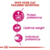 Royal Canin Feline Health Nutrition Protein Exigent 42 Adult Dry Cat Food 4kg