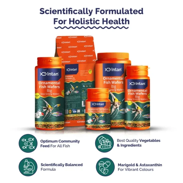 my-11134207-7ras9-m1s3kpdim6g7fa.webp Intan - Ornamental Fish Wafers 🐠 Premium Fish Food - Player Choice For Angels, Gouramis, Goldfish, Barbs, Rainbow