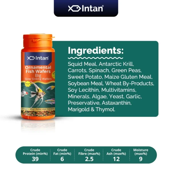 my-11134207-7rasa-m1s3kpfqiy2yd7.webp Intan - Ornamental Fish Wafers 🐠 Premium Fish Food - Player Choice For Angels, Gouramis, Goldfish, Barbs, Rainbow