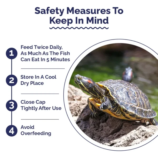 my-11134207-7rasb-m1s3sgmc0i7b31.webp Intan Turtle Sticks 🐢 Player Choice for Turtles, Amphibians & Newts Reptile Food