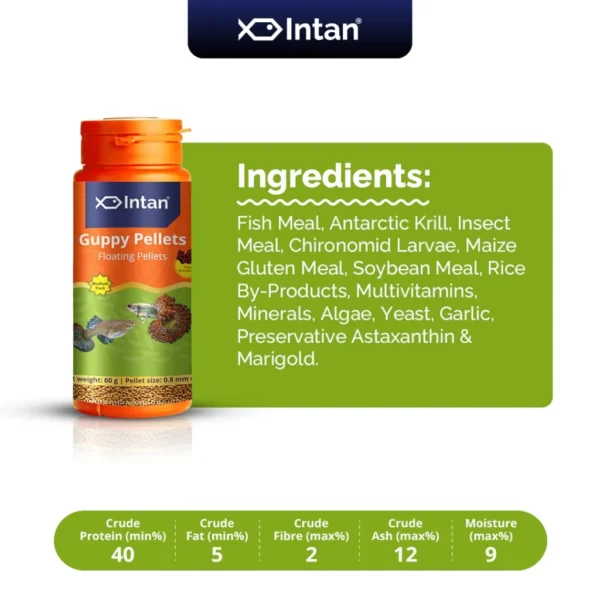 my-11134207-7rasc-m1s0feyew0zuf2.webp Intan Fish Food - Guppy Pellets 🐠 Player Choice For Fish Like Guppies & Small Surface Eating Fish 155g