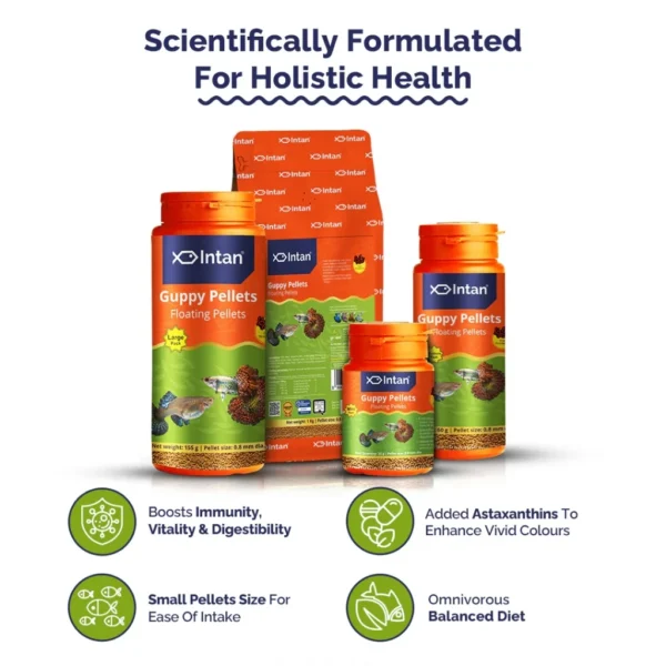 my-11134207-7rasd-m1s0feyew0fb35.webp Intan Fish Food - Guppy Pellets 🐠 Player Choice For Fish Like Guppies & Small Surface Eating Fish 155g