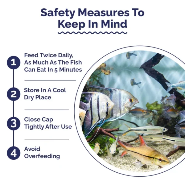 my-11134207-7rasg-m1s3kpdim70q3a.webp Intan - Ornamental Fish Wafers 🐠 Premium Fish Food - Player Choice For Angels, Gouramis, Goldfish, Barbs, Rainbow