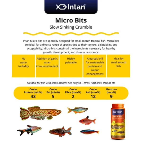 my-11134207-7rask-m1pxuoapfabube.webp Intan - Micro Bits 🐠 Player Choice For Fish Like Killifish, Tetras, Rasboras & Danios | Premium Fish Food 140g