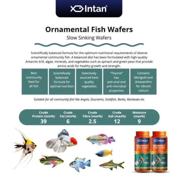 my-11134207-7rasl-m1pviynvigpzd5.webp Intan - Ornamental Fish Wafers 🐠 Premium Fish Food - Player Choice For Angels, Gouramis, Goldfish, Barbs, Rainbow